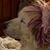 Kristyn Harvey's profile image