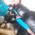 Tena Bohlen's profile image