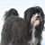 Barbara Wiffen's profile image