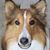Fleddy Fretcher's profile image