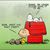 Jason Killebrew's profile image