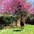Venesa Riach's profile image