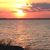 Judy Cavaliere's profile image