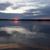 Theresa Simonetta-Deleone's profile image
