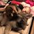 Amy Christianson Hodge's profile image