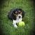 Diane Graham's profile image