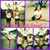 Christine Martinez's profile image