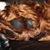 Sharon Burch's profile image