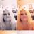 Kimberly Ann McGee's profile image