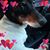 Kathy Branam's profile image