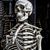 Victoria Jones's profile image
