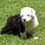 Greg Downing's profile image