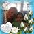 Patricia Farrell's profile image