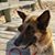 Jayne Blasser's profile image