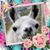 Jennifer Phluff Day's profile image