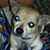 Jnine Fowler's profile image