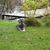 Laurie-Ann Labrecque's profile image