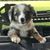 Lisa Strother Gunter's profile image