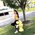 Treisy Cuevas's profile image