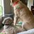 Kathryn Clark Birney's profile image