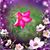 Francisco Alvarez's profile image