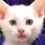 Juan Rodriguez's profile image