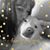 Amy N Bear's profile image