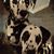 Kimberly Donadio Tansley's profile image