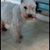 Bertha A Cano's profile image