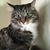 Debra Bloomquist's profile image