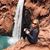 Rebeca Steele's profile image