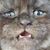 Brandon Martin's profile image