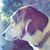 LawsonShannon Edmonds's profile image