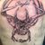 Brent Kobernick's profile image