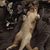 Linda Anderson's profile image