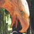 Jonathan E Brown's profile image