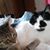 Sandra Martin's profile image