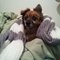 Rachelle L.'s profile image
