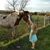 Eunice Joy Mollett's profile image