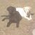 Dayne N Julaine Rice's profile image