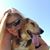 Sandi Dayton's profile image