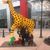 Cindy Gillen's profile image