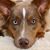Terri Cannici's profile image