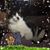 Anjonette Marie Pezan's profile image