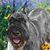 Stevie Bernhard's profile image