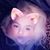 Minta Harrington's profile image