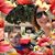 Rosa Alvizures's profile image