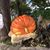Debbie Bailey's profile image