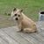 Sue Andreozzi Hallam's profile image