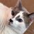 Kim Marcum Nethercott's profile image
